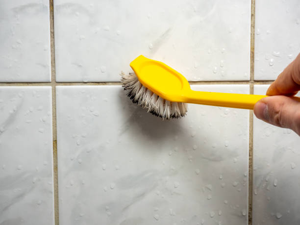 Best Certified Mold Removal  in Whitesboro, AL