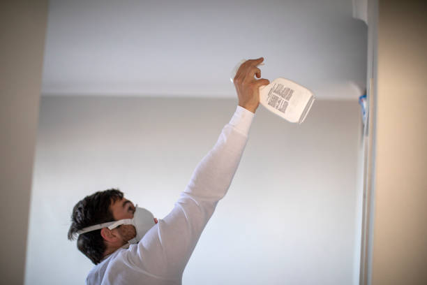 Best Emergency Mold Removal  in Whitesboro, AL